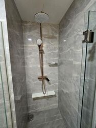 The Brownstone (D27), Condominium #481424781